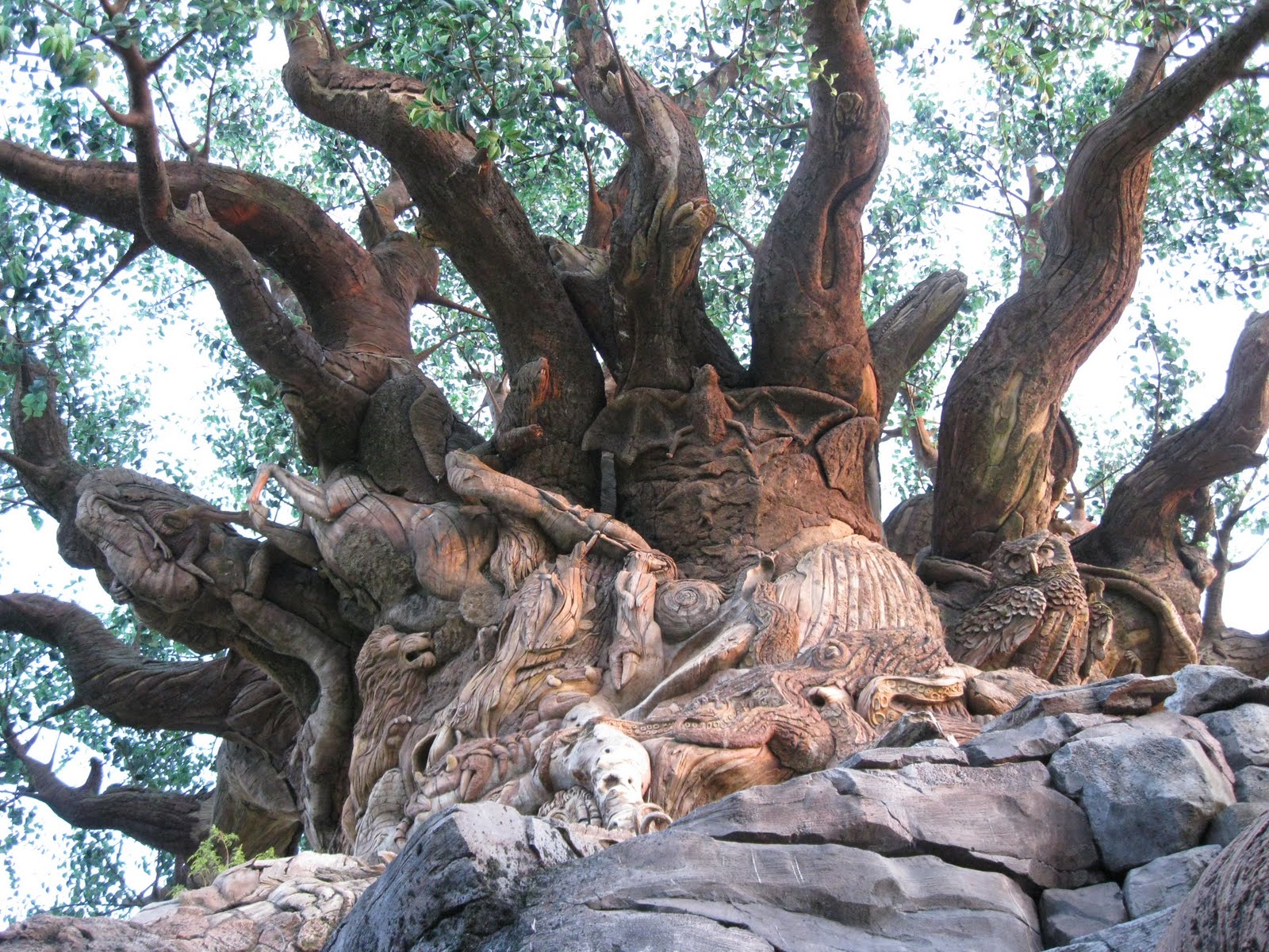 Animal Kingdom: Pandora, Safari e o Parque Mais Subestimado da Disney