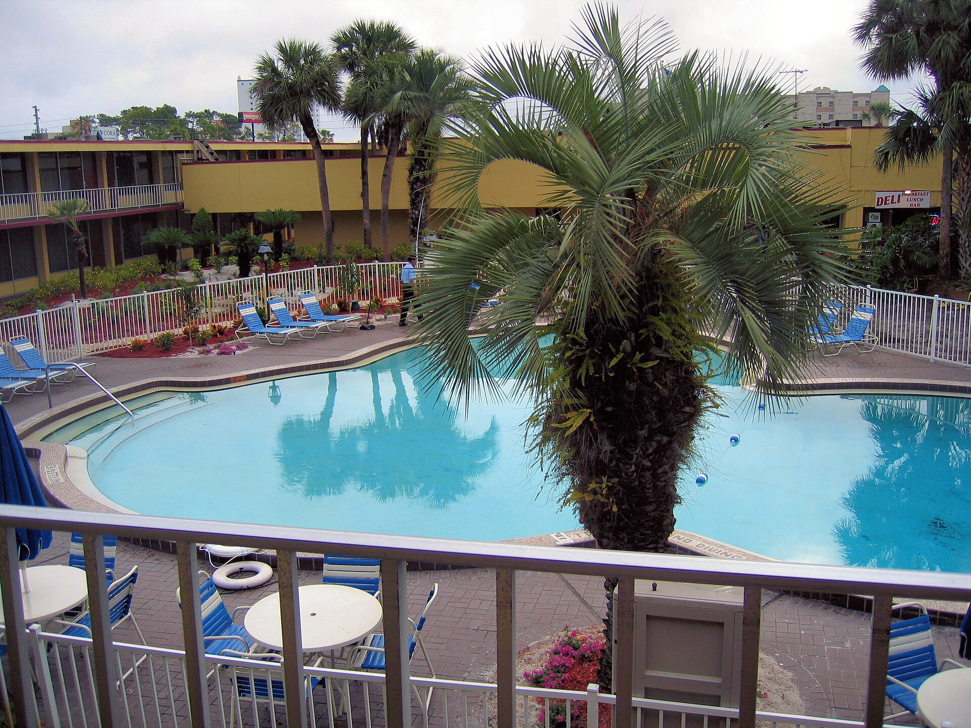 Dolphin Adventures no SeaWorld Orlando: Guia Completo