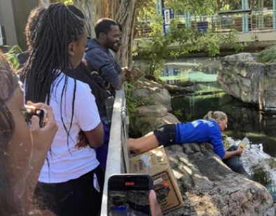 SeaWorld Orlando: Montanhas-Russas Recordes e Shows