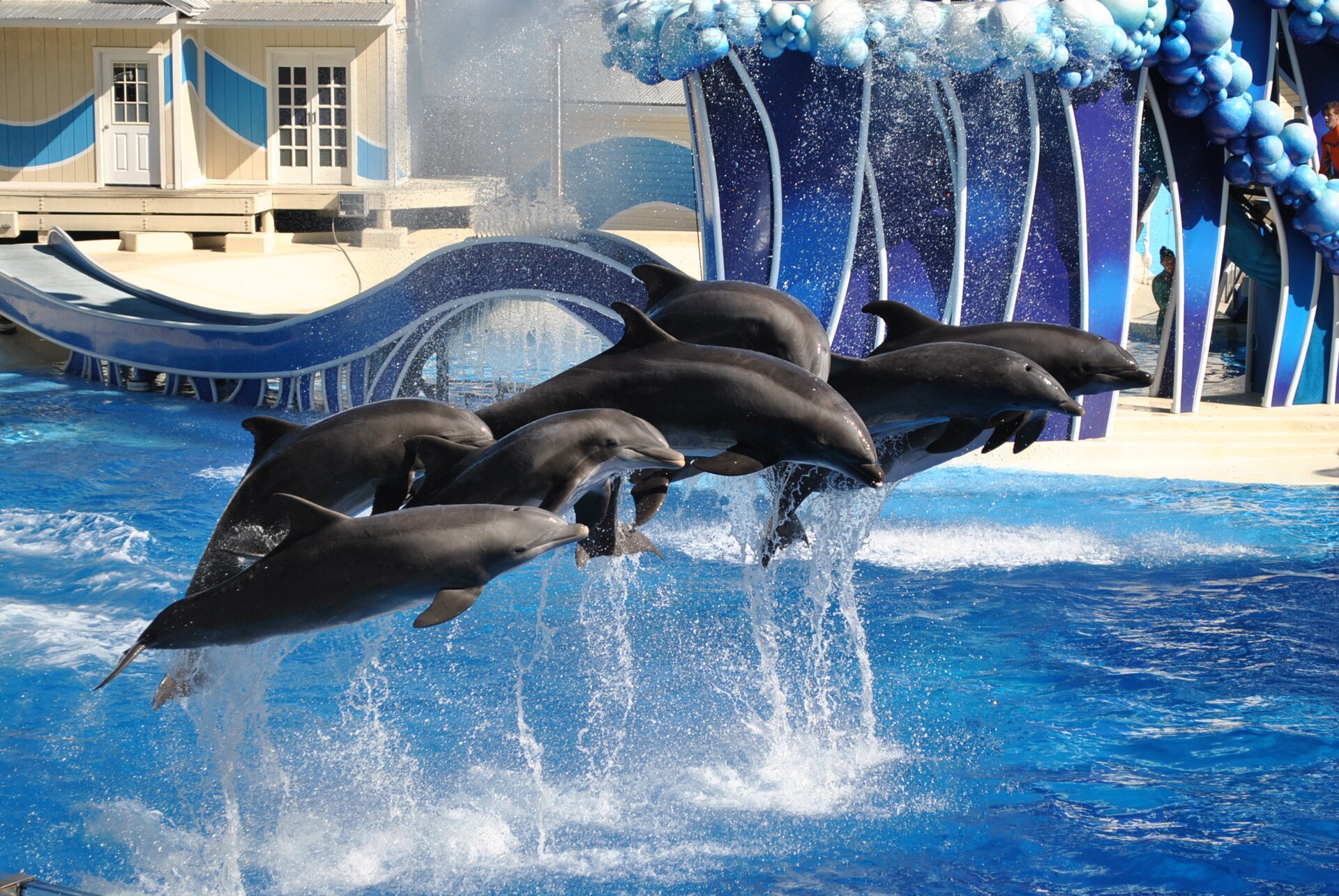 Manta no SeaWorld Orlando: Guia Completo